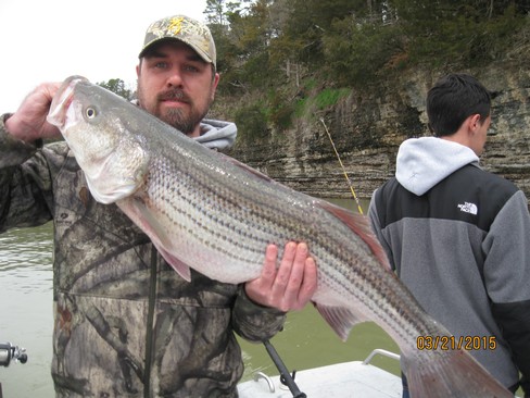 Nice Striped Bass